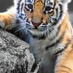 Profile Picture of Richard Seifert (@Richard-Seifert) on Facebook