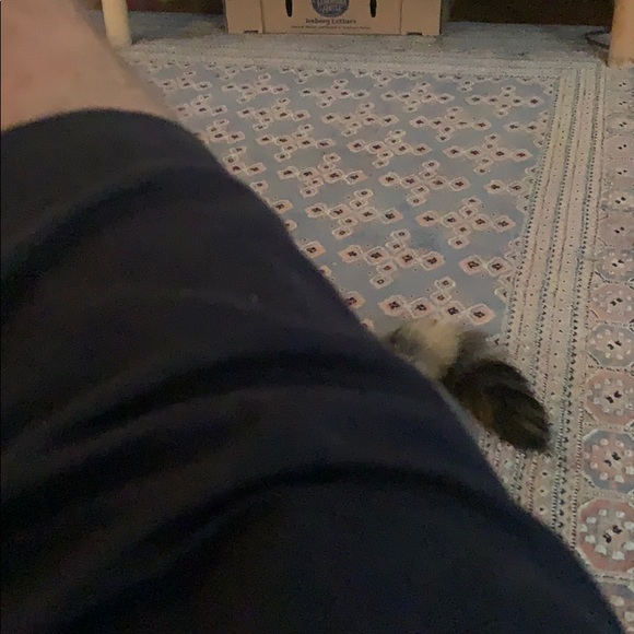 Profile Picture of Jesse Struck (@jessestruck) on Poshmark