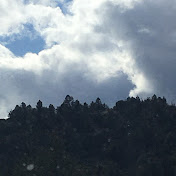 Profile Picture of Jason Ground (@jasonground7781) on Youtube