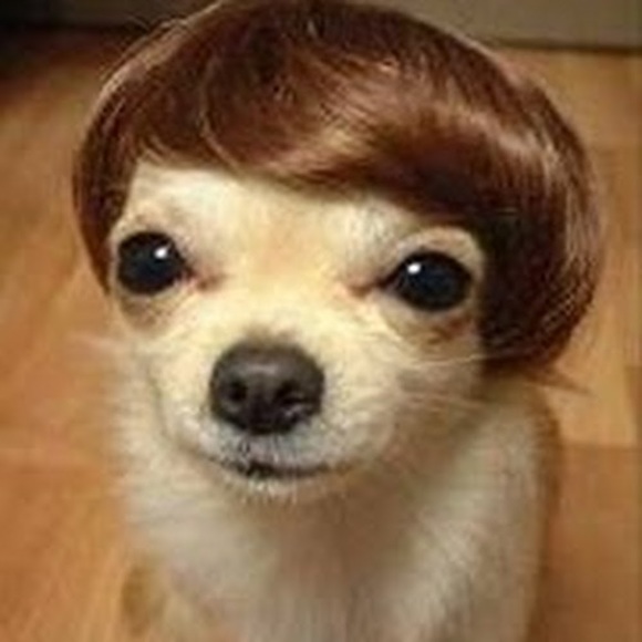 Profile Picture of Daniela Crocco (@croccobear) on Poshmark