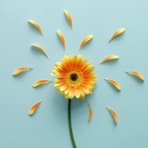 Profile Picture of Monique Baptiste (@Monique06654306) on Twitter