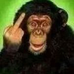 Profile Picture of DeWayne Wright (@don_dada24) on Instagram