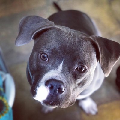 Profile Picture of Amielia Leann Matthews (@LeannAmielia) on Twitter