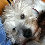 Profile Picture of Isabel Monreal Zamora (@isabelmonrealzamora) on Flickr