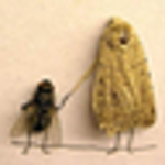 Profile Picture of Xiao Zhang (@big face boy) on Flickr