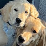 Douglas Sternberg - Facebook Profile Picture of Douglas Sternberg (@douglas.sternberg.7) on Facebook