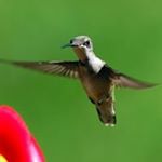 Joe Flood - Instagram Profile Picture of Joe Flood (@flood1881) on Instagram