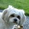 Profile Picture of Phyllis Leung (@phyllis.leung.144) on Facebook