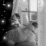 Profile Picture of Laurie McGibbon (@mcgibbonlaurie) on Instagram