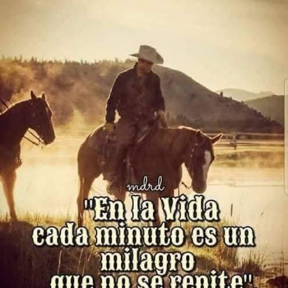 Profile Picture of Marina Carillo (@marinacarillo) on Poshmark