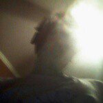 Profile Picture of olivia warren (@warrenthaddeus) on Instagram