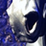 Profile Picture of sanders.annette (@sanders.annette) on Flickr