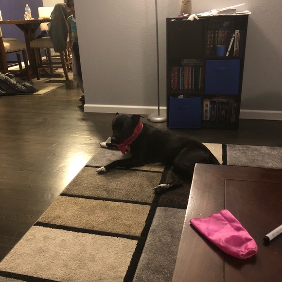 Profile Picture of Sabrina Gaidos (@gaidossabrina) on Poshmark