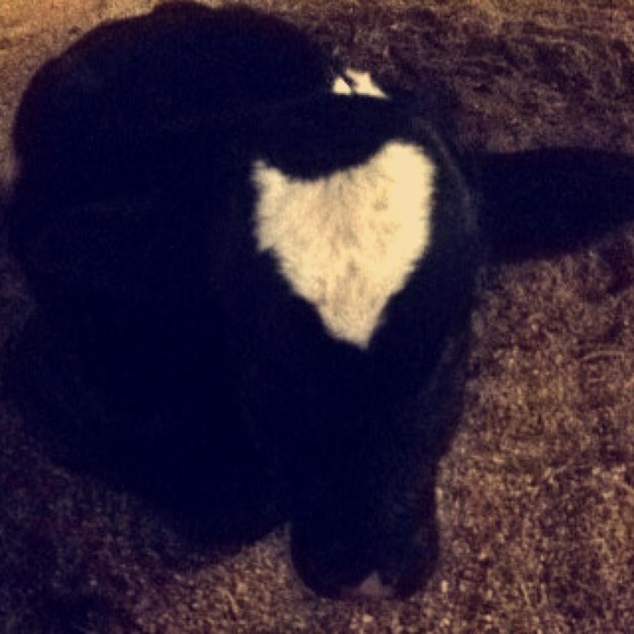 Profile Picture of Olivia Claypoole (@oliviaclaypoole) on Poshmark