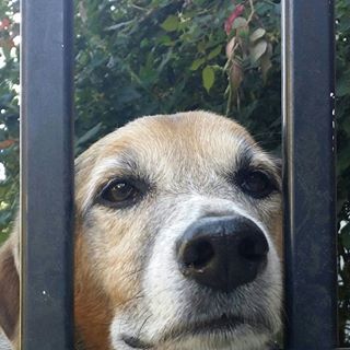 Profile Picture of Karl P. Polzer (@karl.polzer) on Facebook