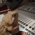 Profile Picture of David Moxley (@david.moxley.184) on Instagram