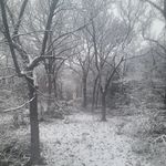 Profile Picture of Bryant Herrien (@herrienbryant) on Instagram