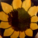 Profile Picture of María Brindiz borjon (@mariabrindiz) on Instagram