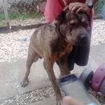 Conrad Chan - Instagram Profile Picture of Conrad Chan (@conrad.chan) on Instagram