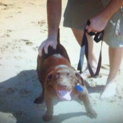 Profile Picture of Harold Hunt (@haroldlasd) on Twitter