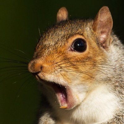 Gabriel Levi Jenkins - Twitter Profile Picture of Gabriel Levi Jenkins (@GabrielLeviJen1) on Twitter