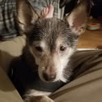 Profile Picture of Ben Karowski (@Ben-Karowski) on Facebook