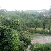 Profile Picture of Gulfraz (@Gulfraz) on Youtube