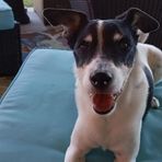 Profile Picture of Glenn Effinger (@glenn.effinger.7) on Facebook