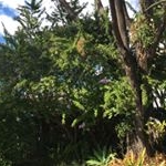 Profile Picture of Fitzyyyy💌 (@lucia.fitzgerald) on Instagram