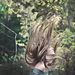 Profile Picture of Constance M. Glisson  (@constancemglisson) on Pinterest