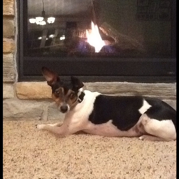 Profile Picture of Katie Labunski (@marli1) on Poshmark