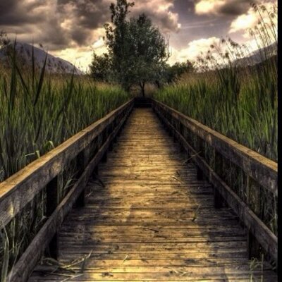 Profile Picture of Matt Caffrey (@mattcaff) on Twitter