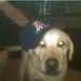 Profile Picture of Scott Hudson (@smhudson20) on Pinterest