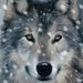 Profile Picture of Dora Duvall (@dorasax) on Pinterest