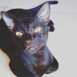 Profile Picture of Vince Adrian Makigod (@vinciadriani) on Instagram