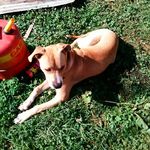 Profile Picture of Pauline Gibson (@pauline.gibson.9026) on Instagram