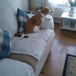 ann poulter - Instagram Profile Picture of ann poulter (@annpoulteroo) on Instagram