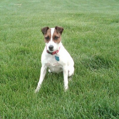 Profile Picture of Sherry Hoban (@SherryHobanJD) on Twitter