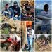 Profile Picture of Brandon Gooding (BG) (@brandon.gooding.79) on Facebook