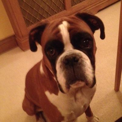 Profile Picture of Paddy Lewczynski (@PaddyLewczynski) on Twitter