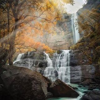 Profile Picture of Risa Foster (@alicia.foster.16568) on Facebook