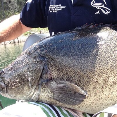 Profile Picture of David Rava (@DaveRava03) on Twitter