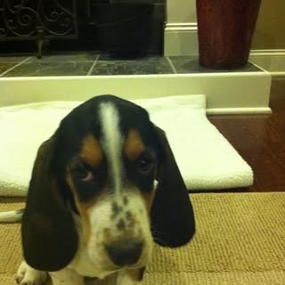 Profile Picture of Marsha Littrell (@marshalittrell) on Instagram