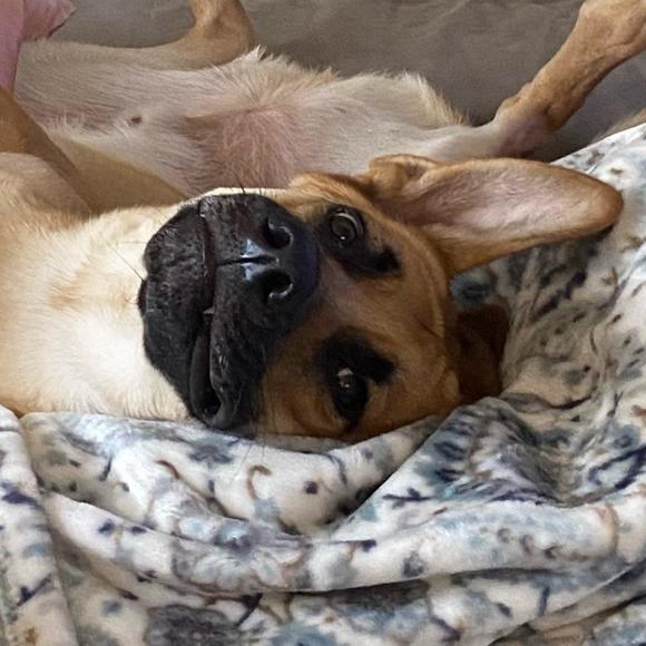 Carole Rempfer - Poshmark Profile Picture of Carole Rempfer (@rempferc) on Poshmark