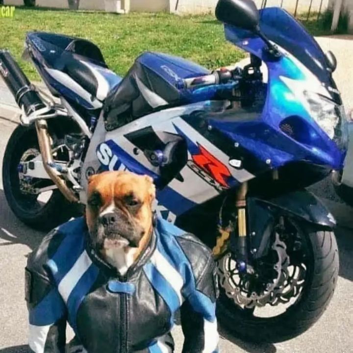 Profile Picture of Mattpoulin (@matt_poulin) on Tiktok