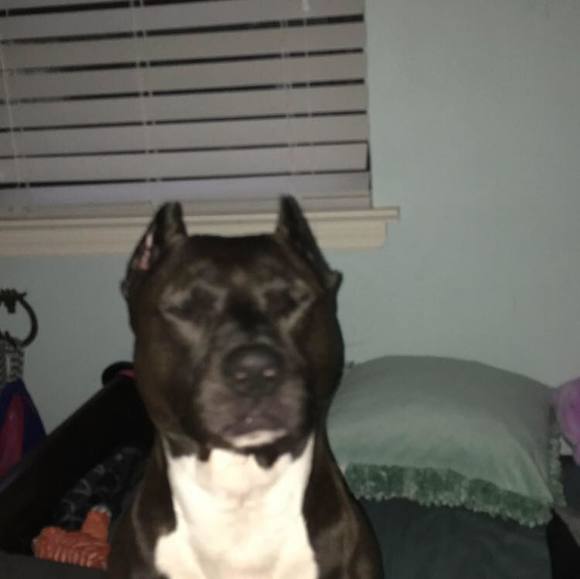 Profile Picture of Hannah Battles (@hannah_battles) on Poshmark