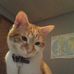 Profile Picture of Ginger Westerhoff (@ginger.westerhoff) on Facebook