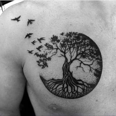 Profile Picture of Brandon Rodrigues (@Brandon29183465) on Twitter