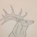 Profile Picture of Dillon Schmidt (@dillon.schmidt.773) on Facebook