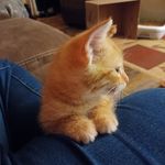 Profile Picture of Poppy lynn baby starlord (@poppylynn2022) on Instagram